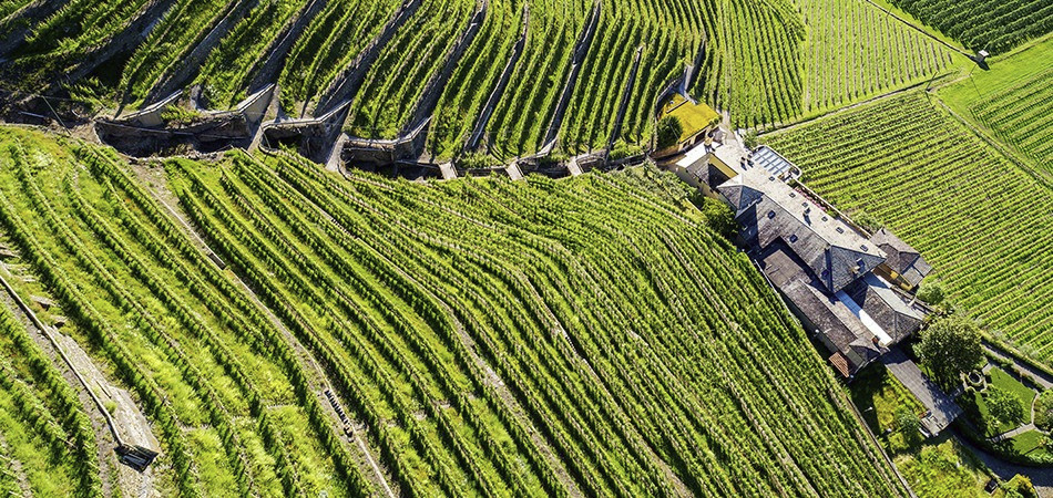 Enotecas - LANGHE Enotecas - LANGHE